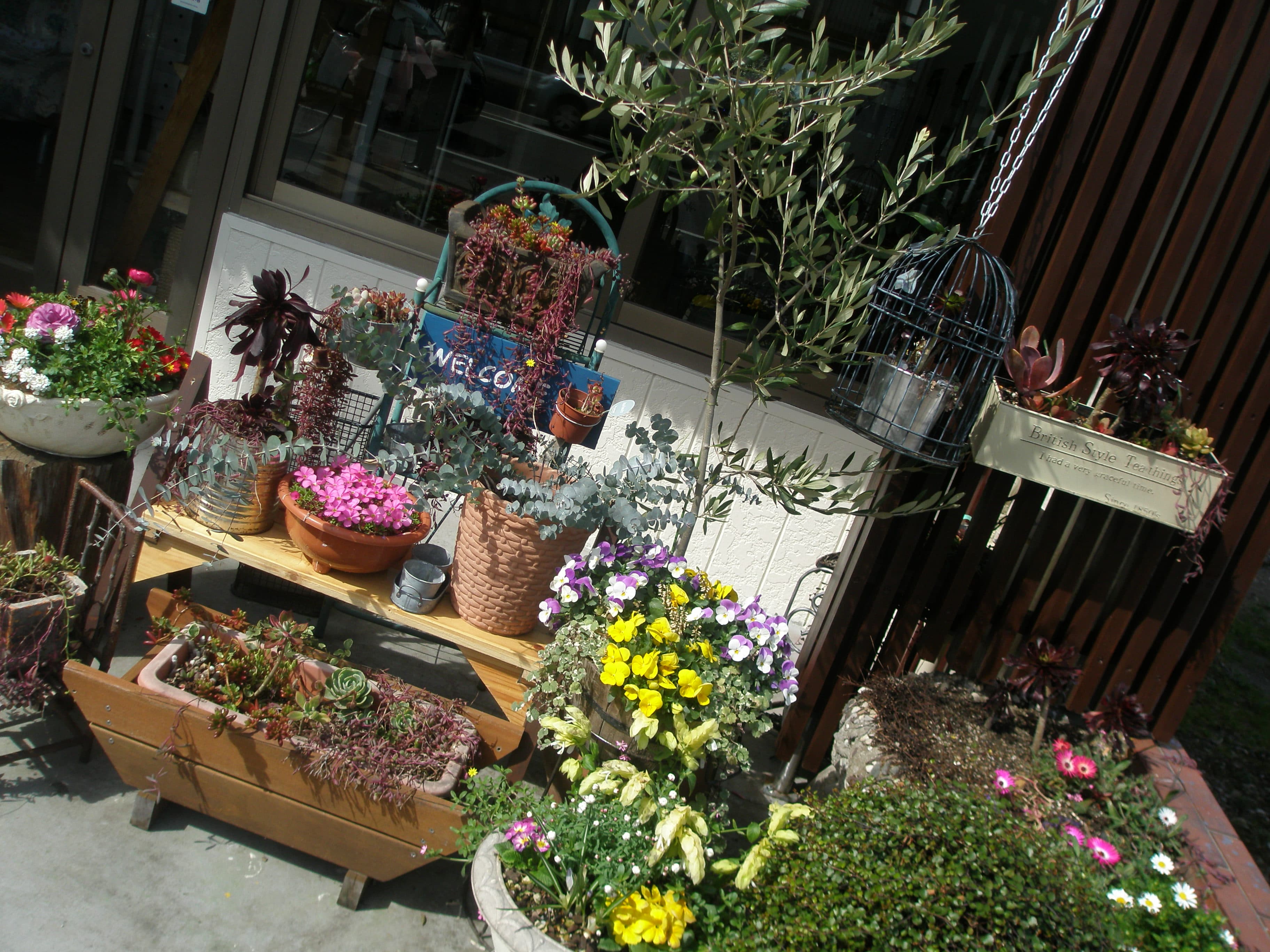 店内の花